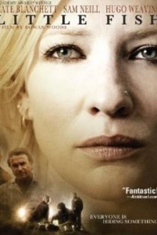 Little fish DVD4601