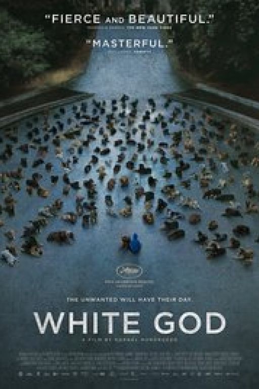 White God - Underdog - Fehér isten