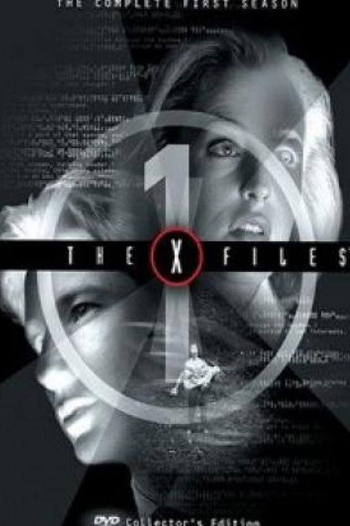 Akte X - The X-Files - Season 1,1 DVD-