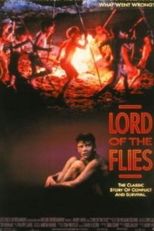 Der Herr der Fliegen - Lord of the Flies (1990) DVD1460