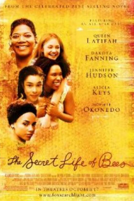 Die Bienenhüterin - The Secret Life of Bees DVD9263