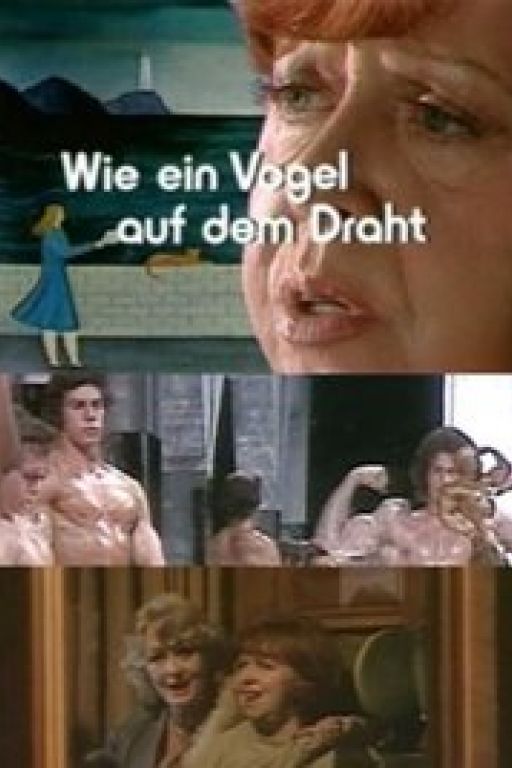 Like a Bird on a Wire - Wie ein Vogel auf dem Draht (Filmkunstbar Fitzcarraldo DVD - )