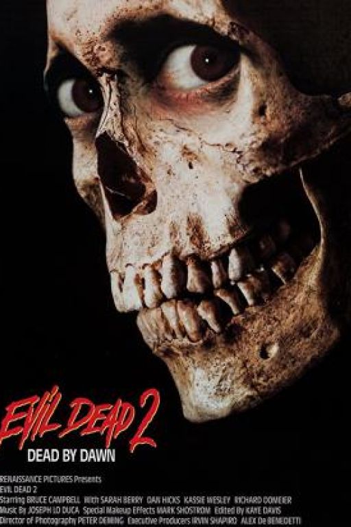 Tanz der Teufel 2 - Evil Dead 2 DVD259