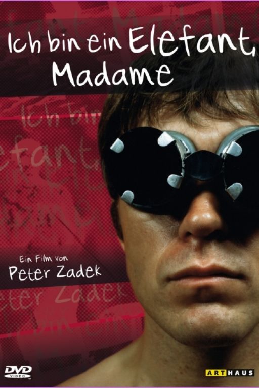 Ich bin ein Elefant, Madame