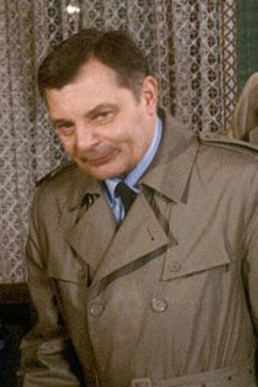 10. 250.000 Mücken im Pappkarton (1985)