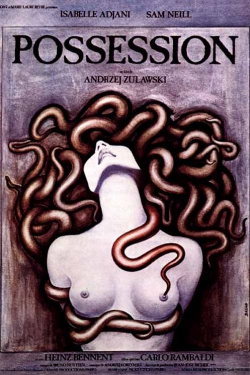 1. Possession (1980) DVD459
