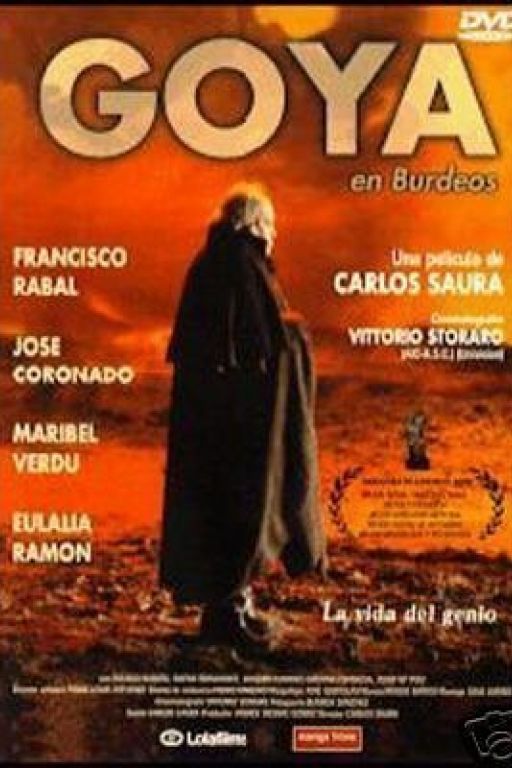 Goya in Bordeaux - Goya - Goya en Burdeos (1999) (Rating 7,3) DVD167