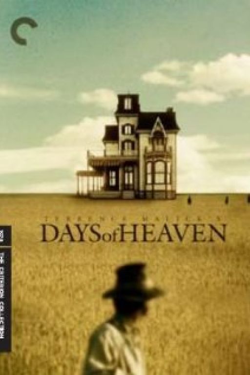 In der Glut des Südens - Days of Heaven (Rating 8,9) DVD3506