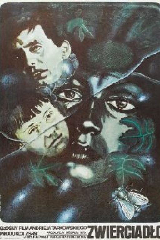 The Mirror - Der Spiegel - Zerkalo (1975) (Rating 8,7) DVD464 + DVD8352 (OmeU=engl. subt.)