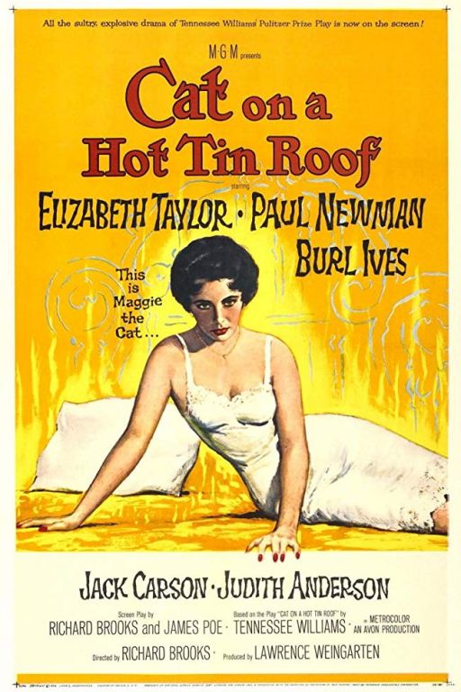 Die Katze auf dem heissen Blechdach - Cat on a Hot Tin Roof (1958) (Rating 8,5) DVD1147