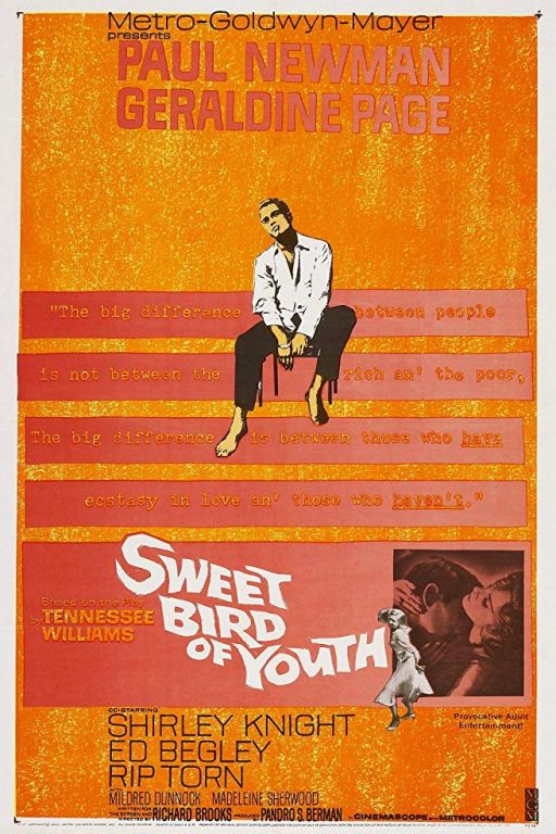Süsser Vogel Jugend - Sweet Bird of Youth (1962) (Rating 8,0) DVD-