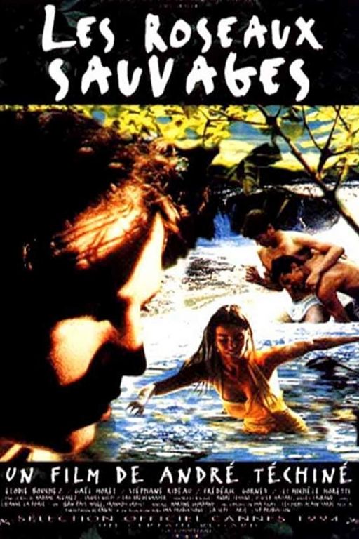Wild reeds - Wilde Herzen - Les roseaux sauvages (1994) (Rating 9,0) (OmeU) DVD8904