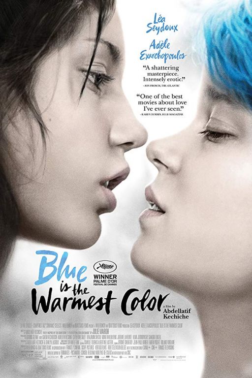 Blau ist eine warme Farbe - Blue is the warmest Colour - La vie d'Adèle - Chapitres 1 et 2 (2013) (Rating 9,0) DVD8065