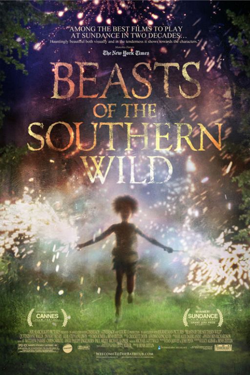 Beasts Of The Southern Wild (2012) (Rating 9,0) DVD6954