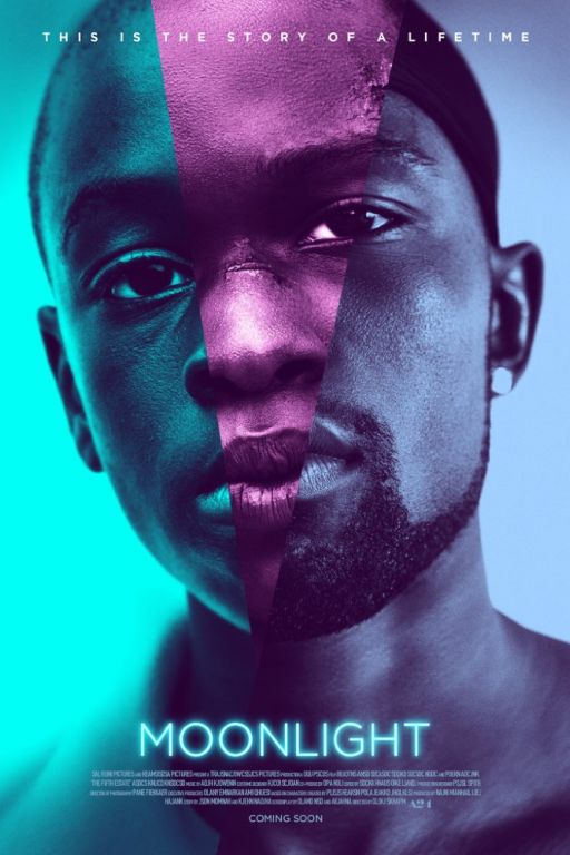 Moonlight (2016) (Rating 7,9) DVD9942 