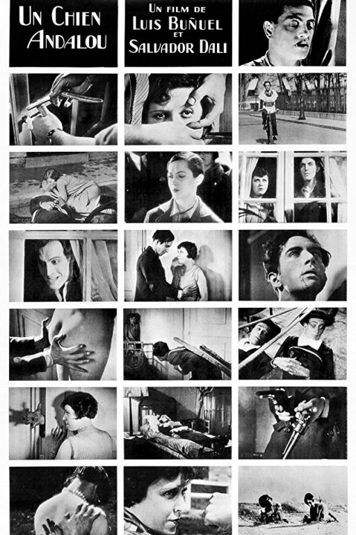 Un chien andalou / L'age d'or - Ein Andalusischer Hund (1929) (Rating 9,0) (OmeU) DVD1420