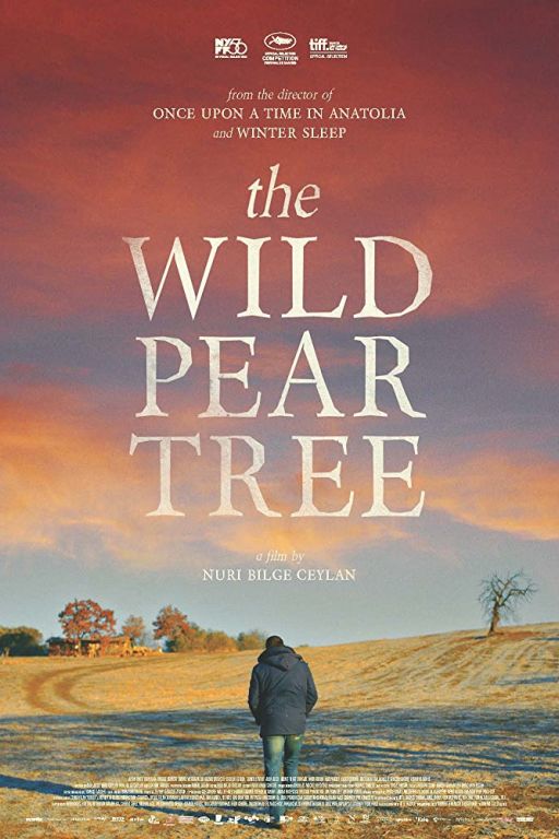 The Wild Pear Tree - Ahlat Agaci (2018) (Rating 8,0) (Coming Soon on DVD at Filmkunstbar Fitzcarraldo)