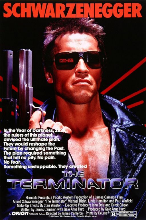 The Terminator (1984) (Rating 8,7) DVD7238