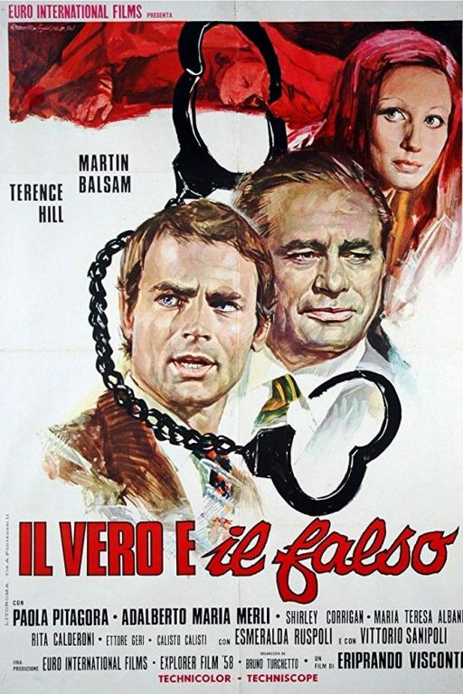 The Hassled Hooker - Allein gegen das Gesetz - Il vero e il falso (1972) (Rating 7,6) DVD7361