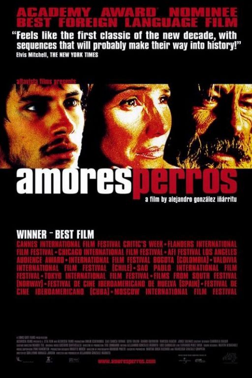Amores Perros (2000) (Rating 8,8) DVD1146