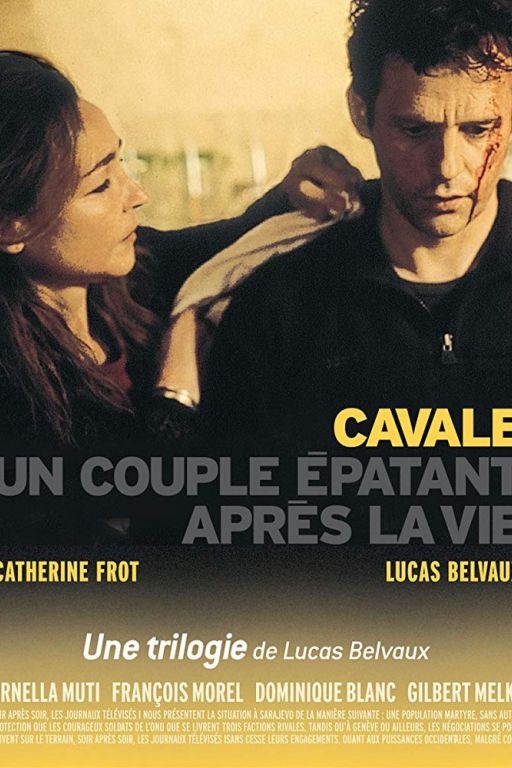 On the Run - Auf der Flucht - Cavale (2002) (Rating 7,9) (OmeU) DVD4380