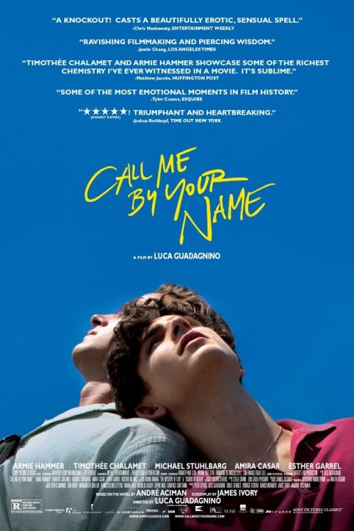 Call Me by Your Name (2017) (Rating 8,1) (also with engl. subt.) DVD10204