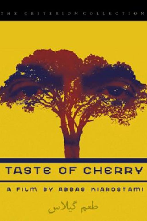 Taste of Cherry - Der Geschmack der Kirsche - Ta'm e guilass (1997) (Rating 6,5) DVD5739